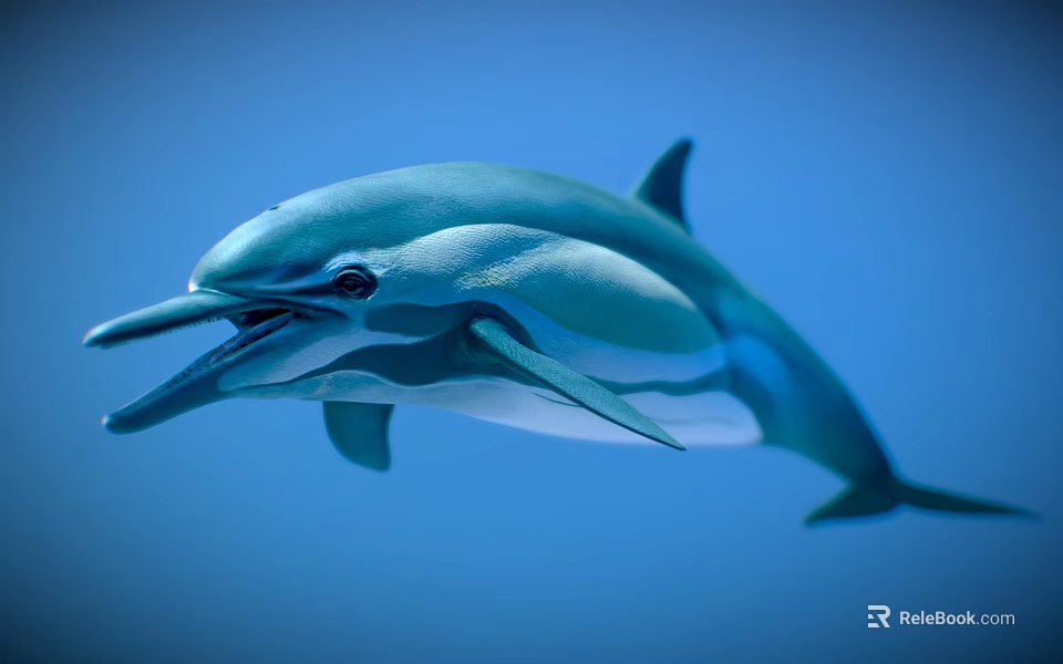 Graceful Dolphin Aquatic Animal Swimming In Blue Background With Sleek Body 3d model 