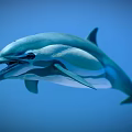 Graceful Dolphin Aquatic Animal Swimming In Blue Background With Sleek Body