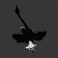 Avian Mammalian Fantasy Creature With Black Feathers White Ears And Sharp Claws