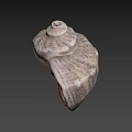 Fantasy Adventure Game Character With Detailed Conch Shell Prop Design