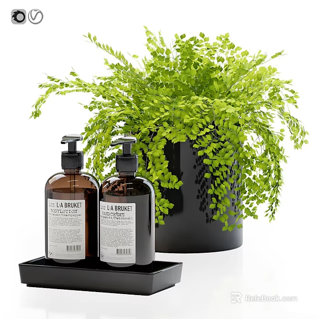 Premium Daily Cleansing Products Two Bottles in Black Tray with Green Fern Plant 3d model 