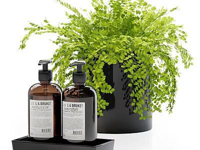 Premium Daily Cleansing Products Two Bottles in Black Tray with Green Fern Plant 3d model