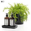 Premium Daily Cleansing Products Two Bottles in Black Tray with Green Fern Plant