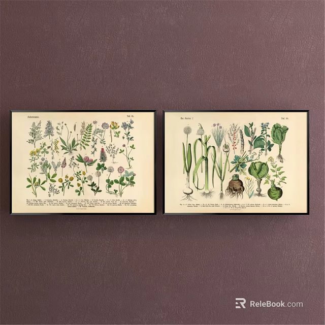 Vintage Botanical Prints With Herbs And Vegetables Framed Wall Art Decor 3d model 