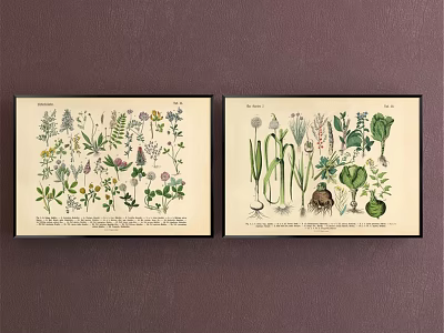 Vintage Botanical Prints With Herbs And Vegetables Framed Wall Art Decor 3d model