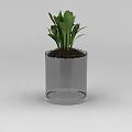Tech Exhibition Hall Interior With Transparent Glass Vase Green Plants And Soil
