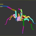 Brown Spider with Large Body and Eight Long Legs on Gray Background