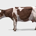 Farm Animal Dairy Cattle Flower Cattle Poultry Animal 3d model