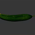 Fresh Green Cucumber with Striped Skin and Yellow Blossom Tip