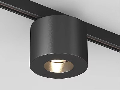 Modern Black Downlight Spotlight Track Mounted Home Interior Modern Bright Lighting Fixture 3d model