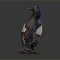 Brown Flying Bird With White Wing Feathers Red Eyes Standing On Stone Base