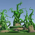 Lush Green Twisted Vines Growing Around Stone Rocks Under Blue Sky