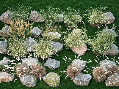 Flowers, plants, reeds, landscape, plant, stone combination, grass, plants, courtyard, flowers, plants, landscape stone model