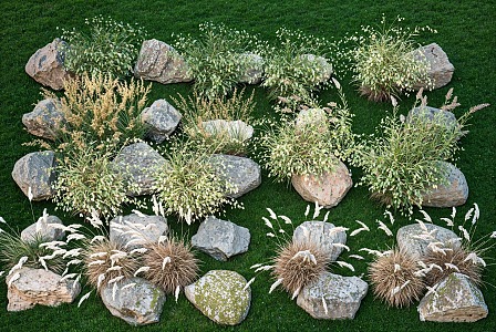 Flowers, plants, reeds, landscape, plant, stone combination, grass, plants, courtyard, flowers, plants, landscape stone 3d model