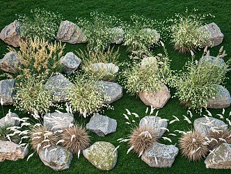 Flowers, plants, reeds, landscape, plant, stone combination, grass, plants, courtyard, flowers, plants, landscape stone 3d model