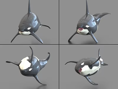 Orca Marine Animal Displaying Various Swimming Poses With Black And White Features 3d model