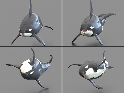 Killer Whale with Bound and Animated Orcas Sea Creatures 3d model