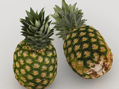 Fresh Ripe Whole Pineapples With Green Leafy Tops On White Background 3d model