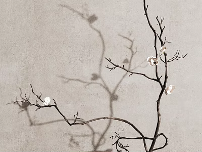 Elegant Vase With White Flower Branches And Shadow On Light Background 3d model