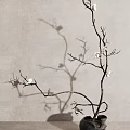 Elegant Vase With White Flower Branches And Shadow On Light Background