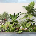 Lush Garden Shrubs With Tropical Palm Tree Banana Leaves Ferns White Rabbit Decor And Stones