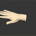 Realistic 3D Human Hand Model With Fine Hair On Dark Reflective Background