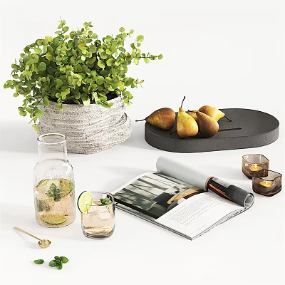Decorative Ornament Set With Green Plant Textured Pot Black Tray Pears Glass Carafe And Magazine 3d model