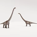 Two Detailed Realistic Dinosaur Models With Long Necks On White Background