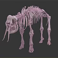 Modern Skeleton Animal Skeleton Bone 3d model