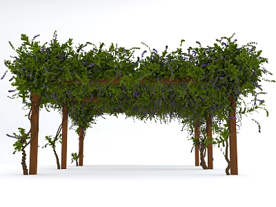 Outdoor Wooden Garden Pergola Covered With Green Vines And Purple Flowers 3d model