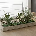 Indoor Rectangular Plant Box Filled With Various Green Plants On Wooden Floor And Blinds Background 3d model