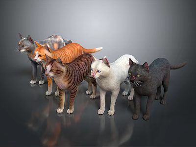 Various Colored And Striped Domestic Cats Standing Together On Dark Reflective Surface 3d model