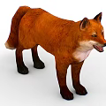 Red Fox With Orange Fur Standing And Open Mouth Isolated On White Background