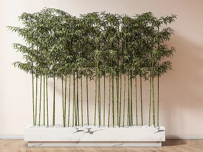 Bamboo Plants Arranged In White Marble Planter For Interior Decoration 3d model
