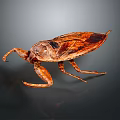 Brown Insect With Large Forelegs And Winged Body On Dark Background 3d model
