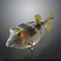 Vibrant Pufferfish with Colorful Patterns Yellow Fins and Tail for Artistic Decorative