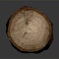 Natural Wooden Stump With Original Tree Texture For Home Decorative Accent