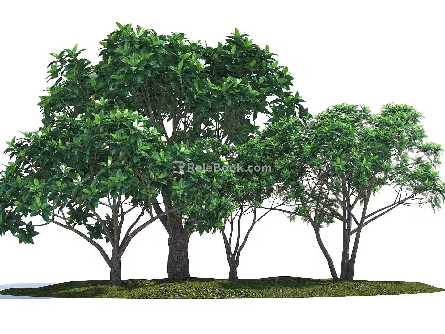 Modern Tree Landscape Tree 3d model