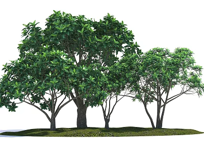 Modern Tree Landscape Tree 3d model