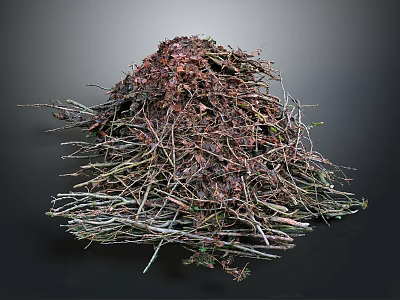 Natural Pile of Twigs Leaves and Branches with Organic Debris 3d model