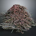 Natural Pile of Twigs Leaves and Branches with Organic Debris