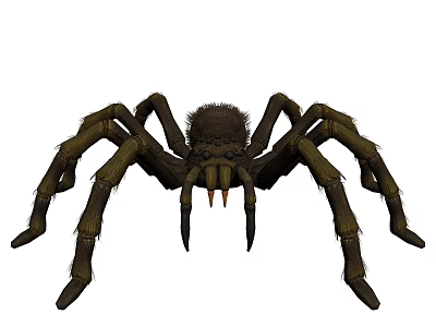 Large Brown Reptile With Hairy Body Eight Legs And Sharp Fangs 3d model