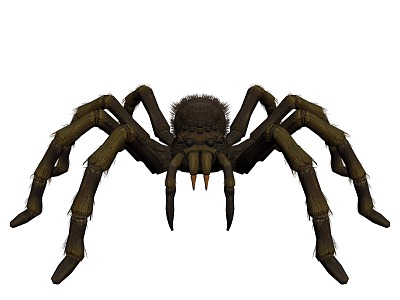 Next Generation Boss Spider Monster Spider Poisonous Spider Evil Mutant Spider Hair Spider Poisonous Spider Breeding Mother Spider Monster 3d model