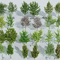 Landscape Trees Street Trees Courtyard Landscape Trees Arbor 3d model
