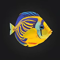 Colorful Tropical Fish With Vibrant Yellow Blue Purple Stripes Against Black Background