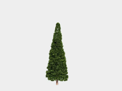 Modern Cypress Plant Tree 3d model