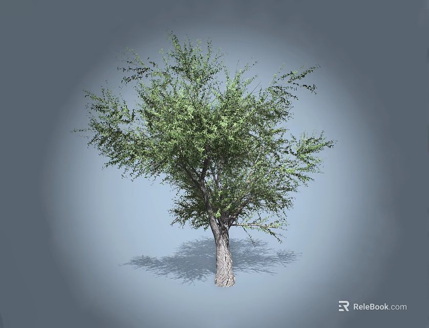 Arbor Tree With Lush Green Foliage Full Canopy And Textured Trunk 3d model 