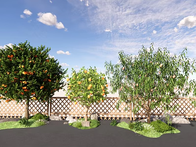 Fruit Bearing Arbor Trees In Garden With Wooden Fence Green Grass And Blue Sky 3d model