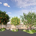 Fruit Bearing Arbor Trees In Garden With Wooden Fence Green Grass And Blue Sky