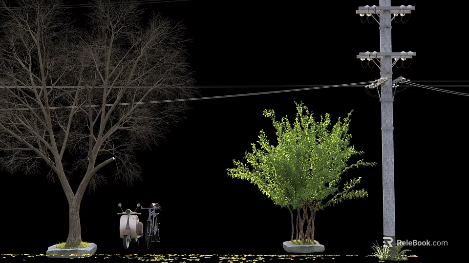 Bare Tree And Lush Green Arbor With Scooter Bicycle Power Pole And Fallen Leaves 3d model 